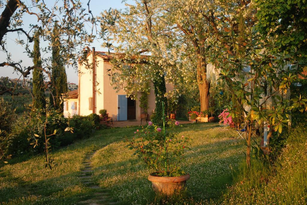Appartamento Con Patio Privato E Giardino Tra Pisa E Firenze Palaia Phòng bức ảnh
