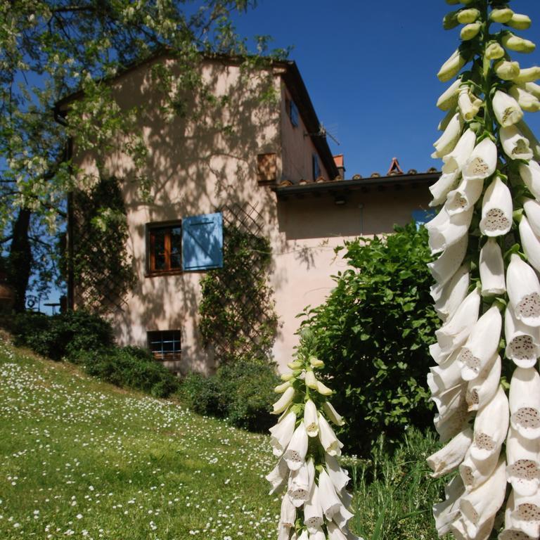 Appartamento Con Patio Privato E Giardino Tra Pisa E Firenze Palaia Ngoại thất bức ảnh