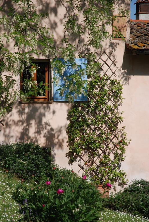Appartamento Con Patio Privato E Giardino Tra Pisa E Firenze Palaia Ngoại thất bức ảnh