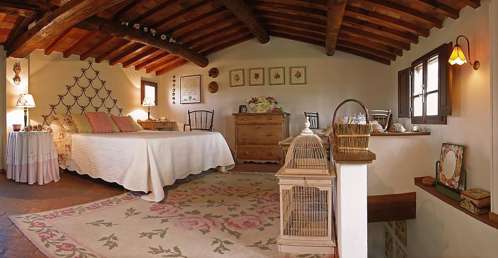 Appartamento Con Patio Privato E Giardino Tra Pisa E Firenze Palaia Phòng bức ảnh