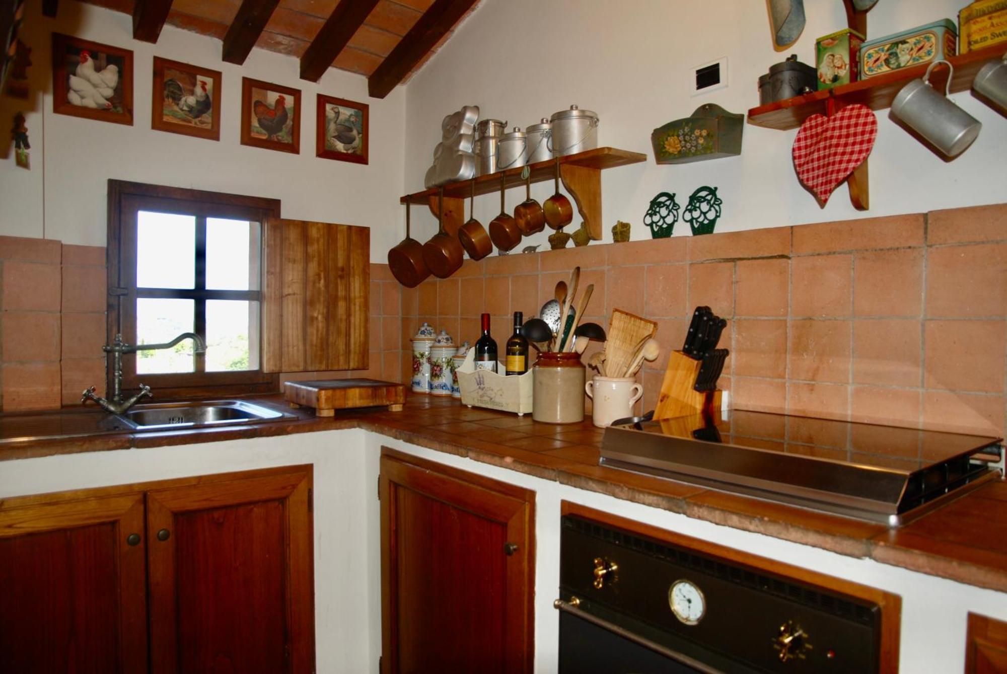Appartamento Con Patio Privato E Giardino Tra Pisa E Firenze Palaia Ngoại thất bức ảnh