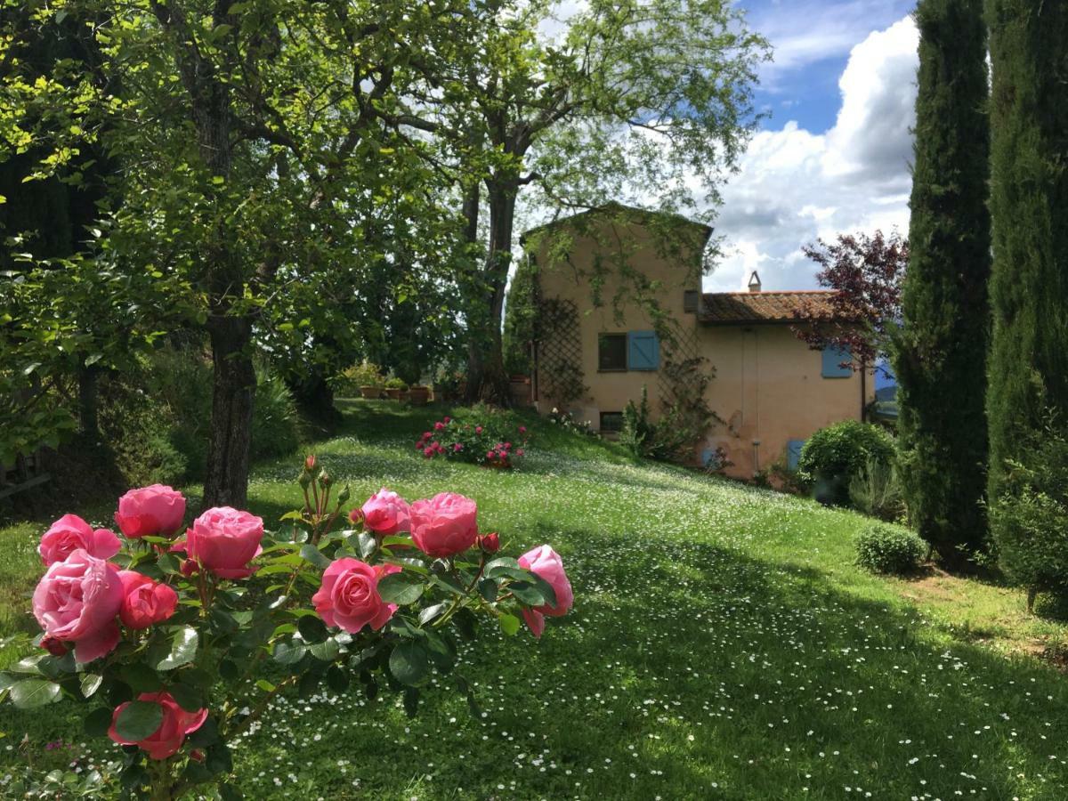 Appartamento Con Patio Privato E Giardino Tra Pisa E Firenze Palaia Ngoại thất bức ảnh